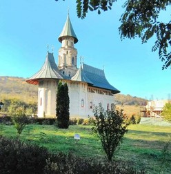 Mănăstirii Vlădiceni