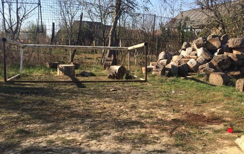 O fetiță din Bihor a murit, după ce o poartă de fotbal a căzut peste ea. Scena șocantă s-a produs pe terenul școlii