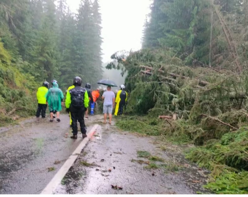 Zeci de mașini blocate pe Transalpina, după ce mai mulți copaci au căzut pe drum, în urma unei furtuni