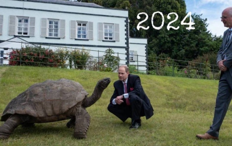 Jonathan, țestoasa gigant, încă trăiește la aproape 200 de ani, în ciuda zvonurilor despre moartea sa