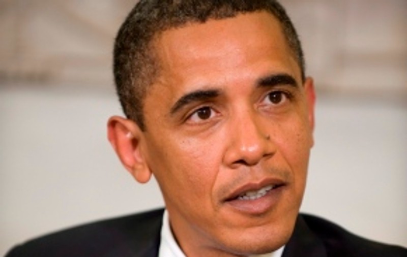 Barack Obama, asasinul de muşte / Video