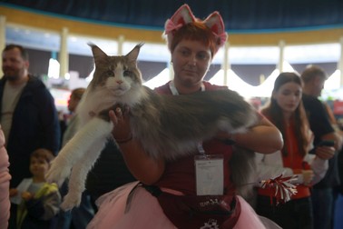 Campionatul Mondial Felin - FIFe World Winner Show. Foto: Eli Driu (Libertatea)