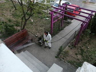 Arhiva foto