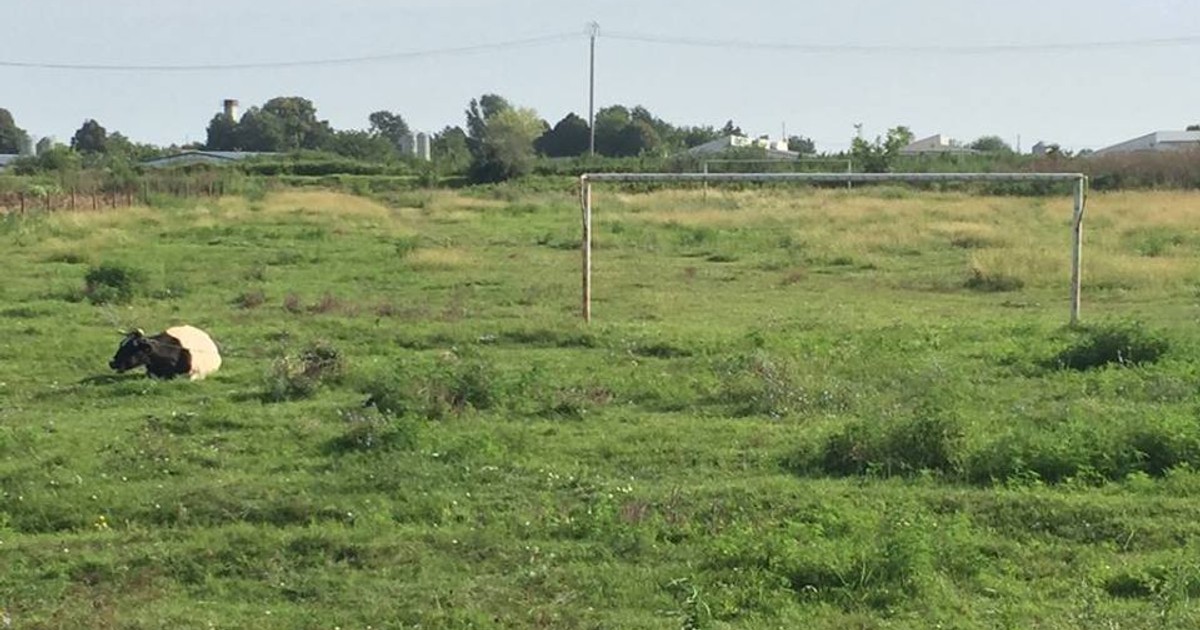 Unde a început Budescu fotbalul. Așa arată acum gazonul pe care a călcat prima dată!