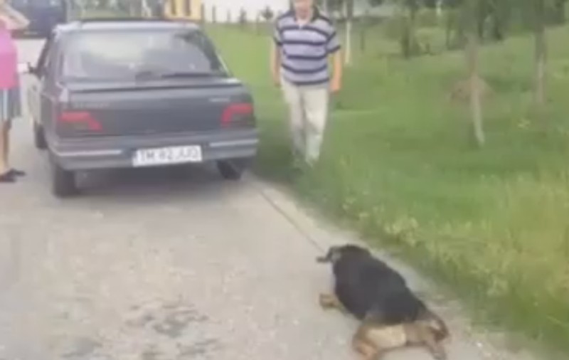 VIDEO Cruzime fără margini | Cum au pedepsit doi pensionari câinele din ogradă!