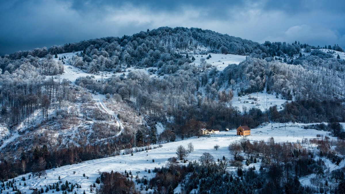 Zi aglomerată pentru Salvamont. 39 de apeluri de urgență în 24 de ore, cele mai multe în Brașov Foto: Profimedia Images