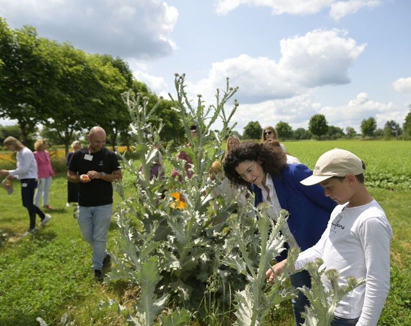 Cum se fabrică celebrele produse Weleda! Am vizitat grădina de plante medicinale din Germania, un paradis de 23 de hectare