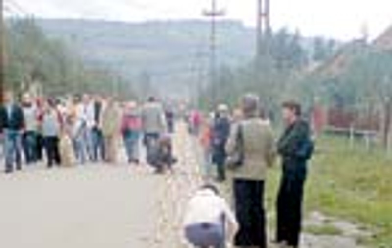 Au impletit 5 km de ceapa si au facut un bulz urias