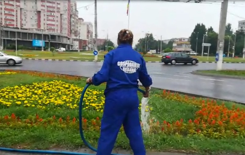 Spaţii verzi udate cu furtunul şi aspersoarele pe ploaie, la Galați. "O burniţă nu satisface nevoia de apă a pământului"/ FOTO