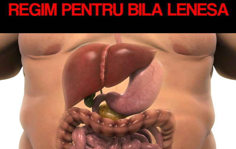 Ce plante fac bine pentru o bila lenesa?