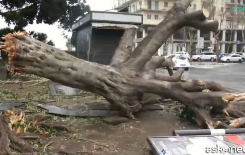 Muncitor român, rănit în Italia de o macara prăbușită din cauza vântului
