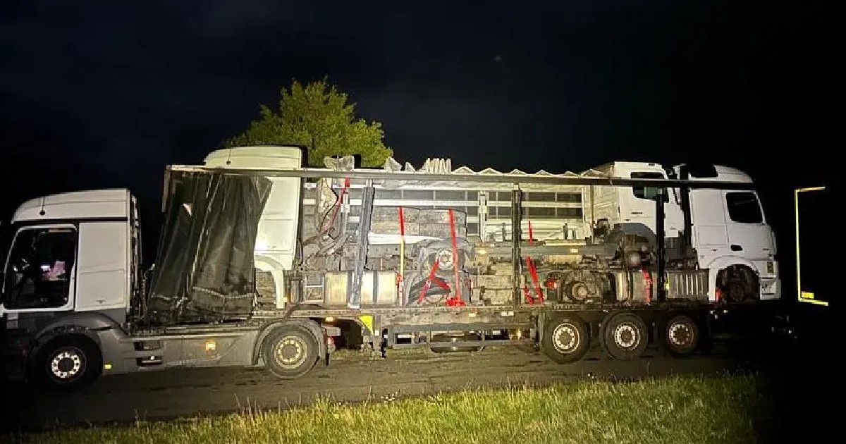 Un camion care transporta alte camioane, pe o autostradă din Germania