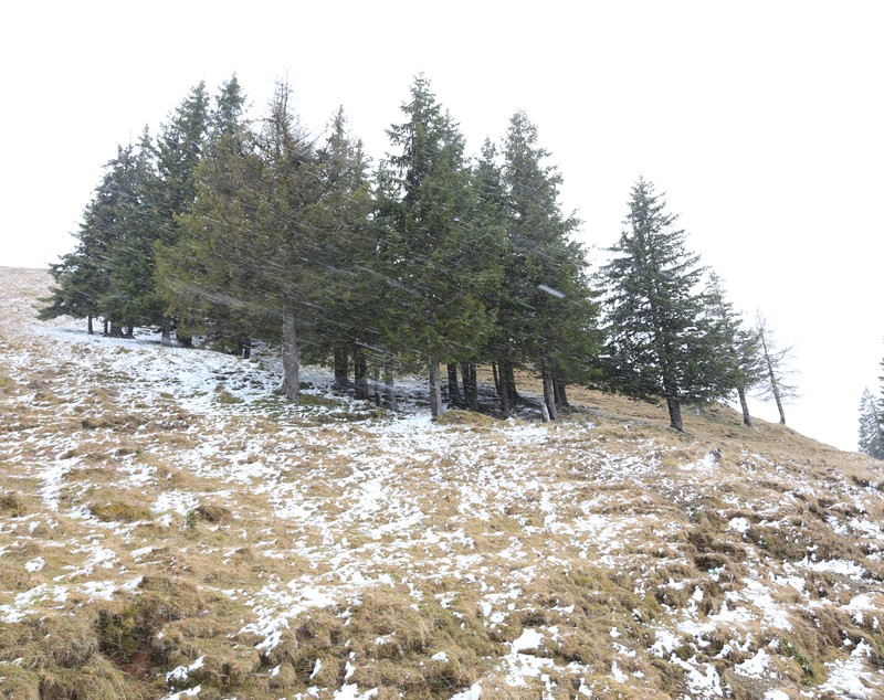 FOTO/VIDEO În miez de primăvară, ninge ca în povești în Bucegi!
