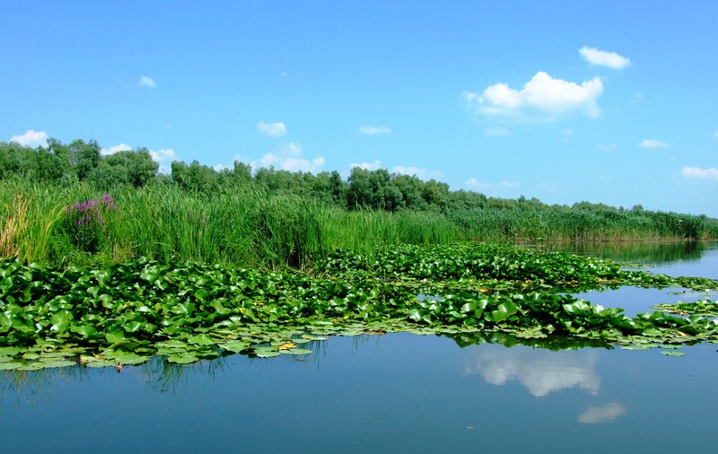 (P) Delta Dunării, magia unui ţinut natural de poveste