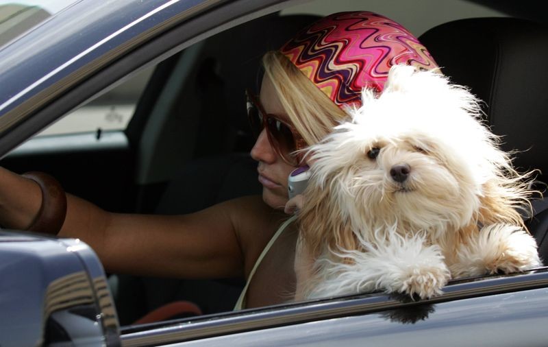 Jessica Simpson: "Daisy însemna totul pentru mine!"