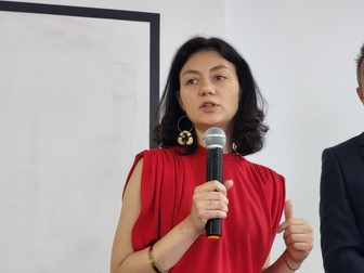 Andreea Nistor, Asociația pentru Valori în Educație