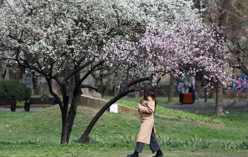 Cum va fi vremea în perioada 24 martie - 20 aprilie 2025. Prognoza meteo pentru următoarele patru săptămâni