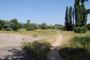 Arhiva foto
