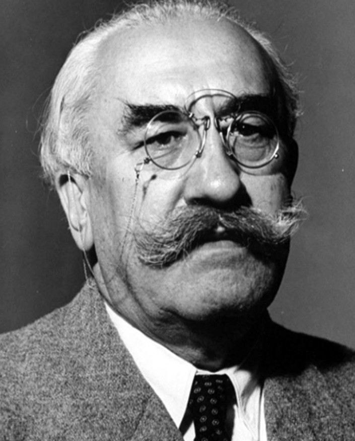 Alexandru Vaida-Voevod