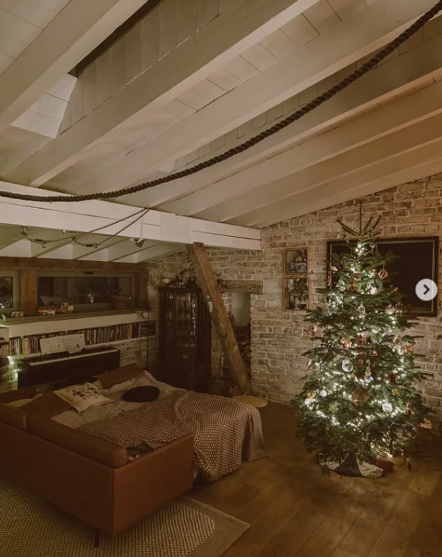 Tradiția pe care Dana Rogoz și familia ei o respectă în fiecare an, după ce împodobesc bradul de Crăciun. Imagini din casa vedetei. „E perfect”