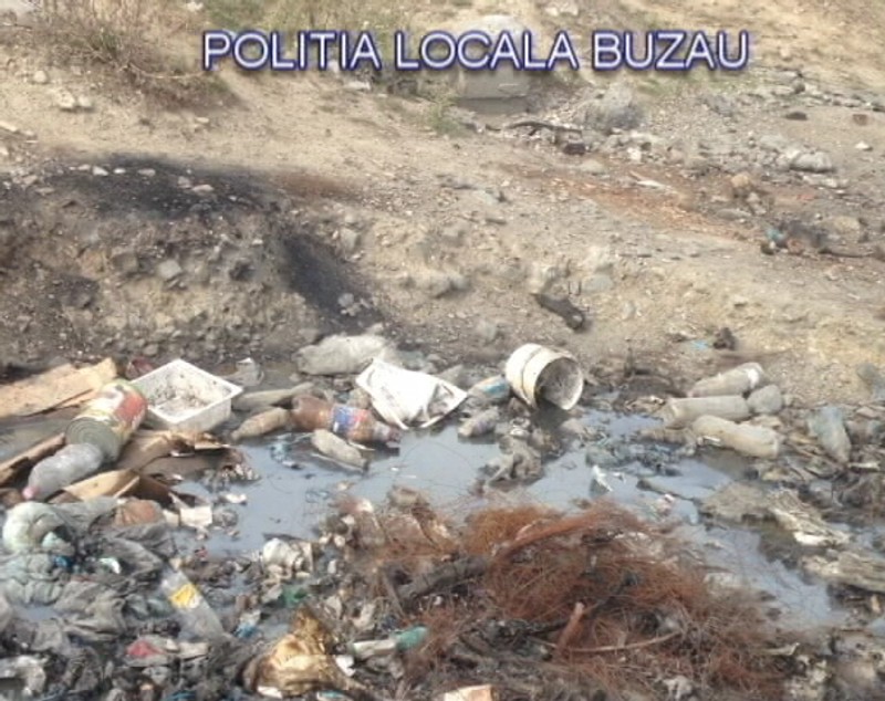 GALERIE FOTO| Descoperire macabră în Buzău. Un crescător de porci își hrănea animalele cu cadavre şi resturi animale