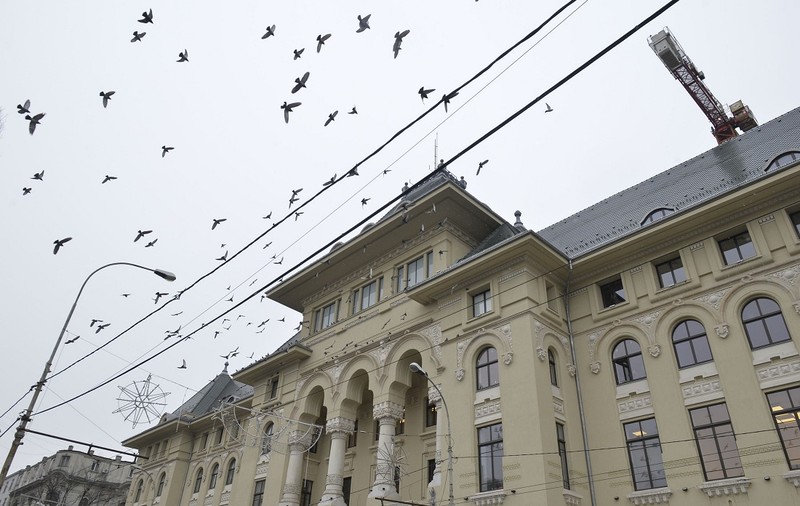 Garda de Mediu a amendat Primăria Capitalei cu 100.000 de lei. Cum s-a ajuns la această sancțiune