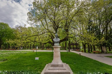 Parcul Copou, teiul lui Eminescu. Foto: Andrei Cucu
