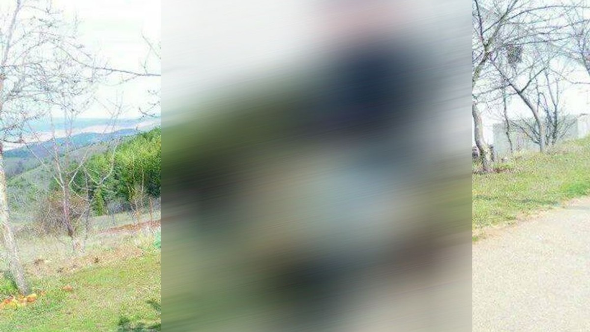 Arhiva foto