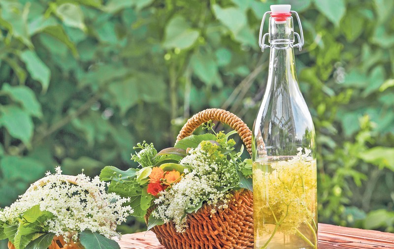 REȚETELE BUNICII | Socată