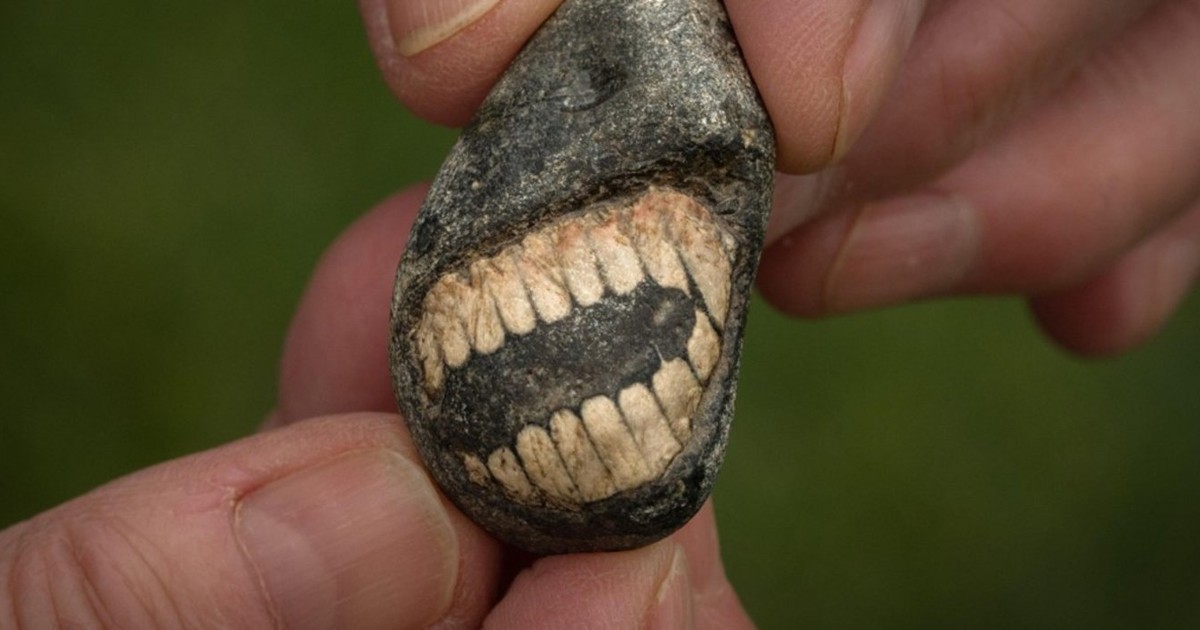 O fosilă „zâmbitoare” a fost descoperită pe Holy Island. Foto Facebook/ BBC.