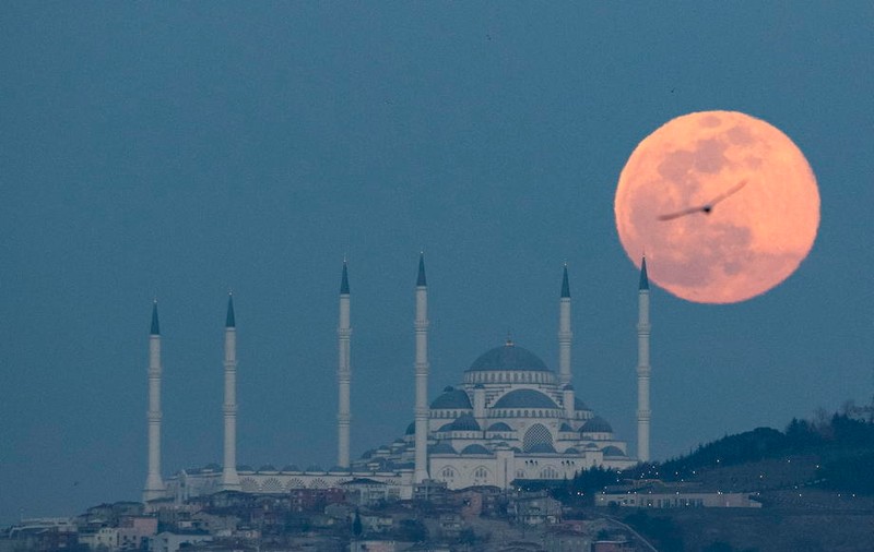 Superluna roz. Ce este fenomenul spectaculos care va fi vizibil în această noapte