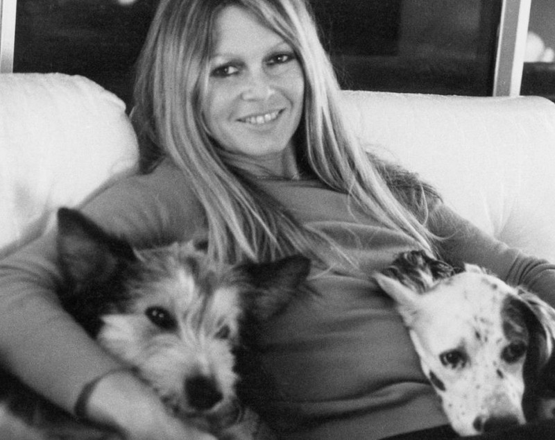 Secretul pe care Brigitte Bardot i l-a dezvăluit actriței Carmen Tănase: „M-a făcut să nu mai mănânc carne șapte ani”. Detalii inedite despre întâlnirea celor două actrițe