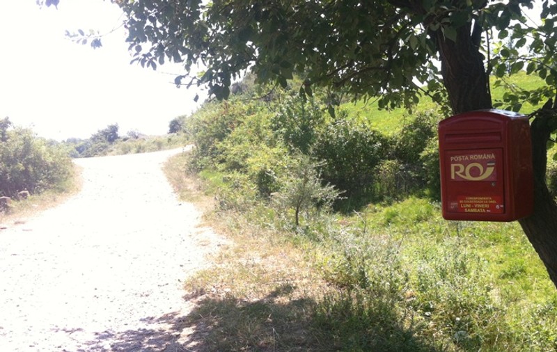 Uită-te atent la poză! Da, cutia poştală e în copac, fix în vârf de deal!