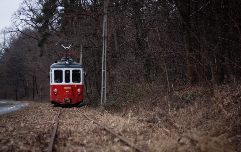 Tramvaiul Sibiu-Rășinari circulă din nou. Traseul mirific duce spre Mărginimea Sibiului