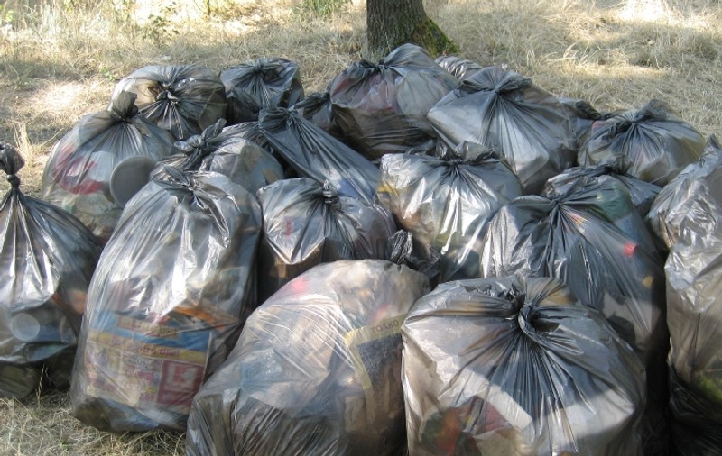 Deţinuţii vor participa şi anul acesta la "marea curăţenie naţională"
