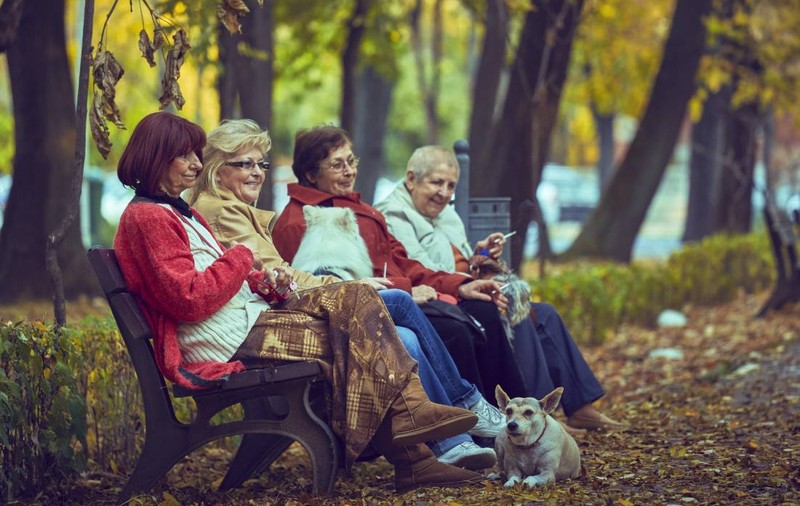 Țările europene nu mai au de ales: trebuie să crească vârsta de pensionare, iar un studiu de caz arată clar de ce