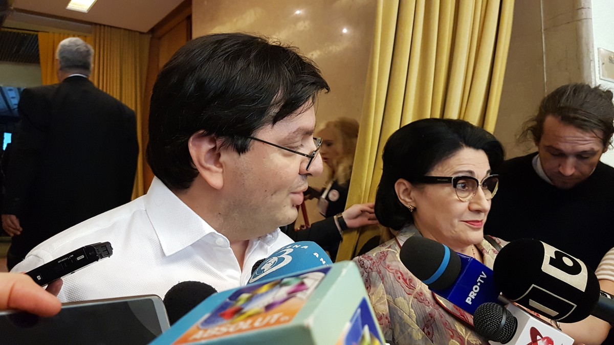 Ecaterina Andronescu și Nicolae Bănicioiu își retrag candidaturile