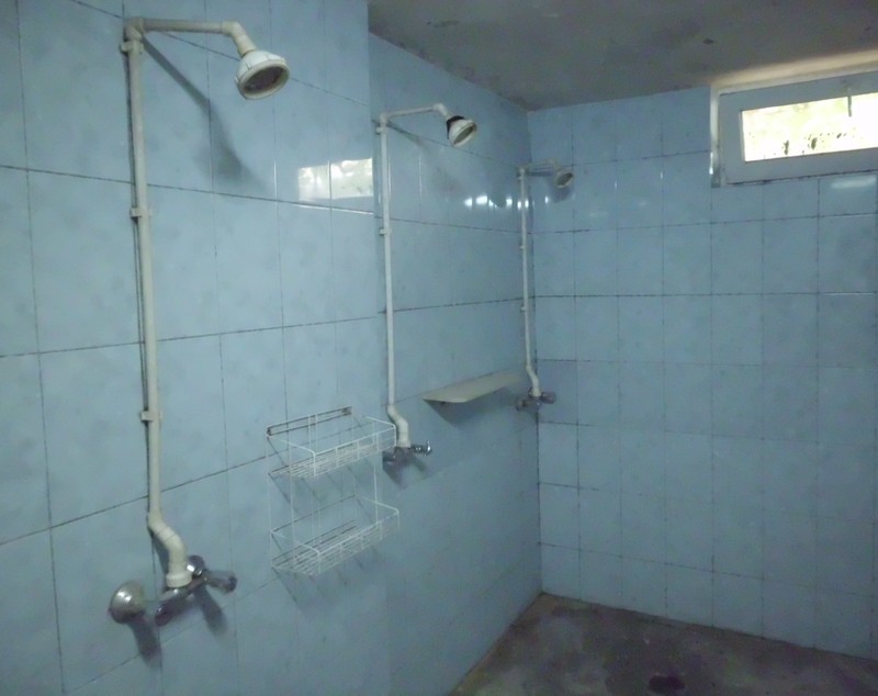 A ridicat cu propriile mâini o afacere unică în Botoșani! GALERIE FOTO