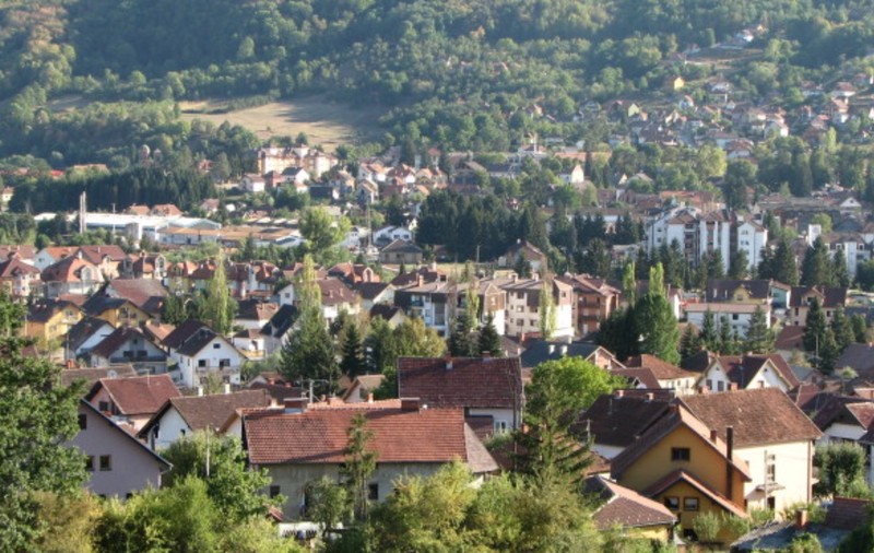 Casă cu grădină, la țară, oferită gratis unei tinere familii. Două condiții puse de proprietar, în Serbia