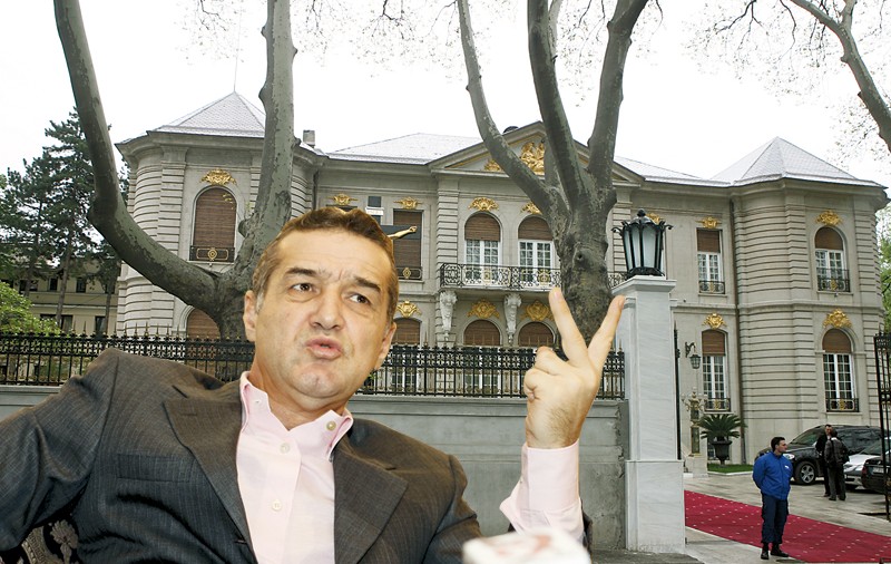 «Am ofertă de 20.000.000 € pentru palat»