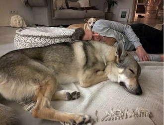 Foto