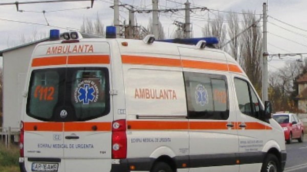 Arhiva foto