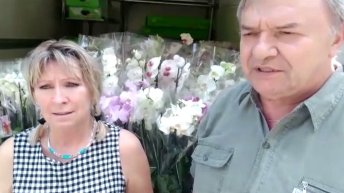 Camion cu orhidee la poarta jandarmilor. Traian Săplăcan, un fost militar în rezervă care a dezvoltat o afacere cu flori, a venit azi la sediul Inspectoratului General al Jandarmeriei pentru a aduce 200 de ghivece cu plante doamenlor din instituţie şi luptătorilor care au participat la protestul din Piaţa Victoriei.