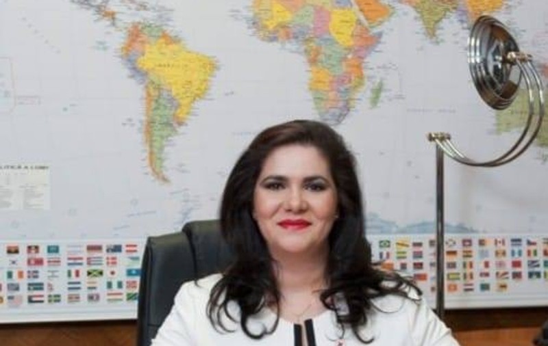 Reprezentanta MAE, în comisia specială din Parlament, despre votul din diaspora: „La Munchen au fost violențe verbale și fizice, amenințări cu moartea. În multe cazuri s-a intrat cu forţa în secţii”