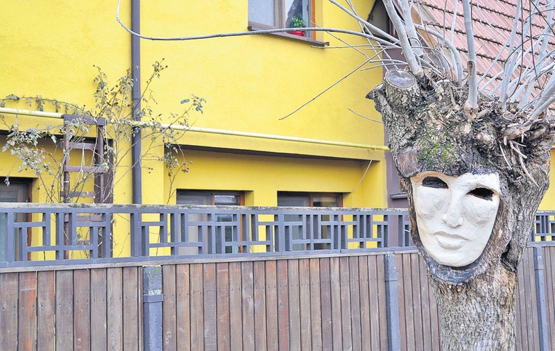 Cu drujba-n slujba artei | FOTO