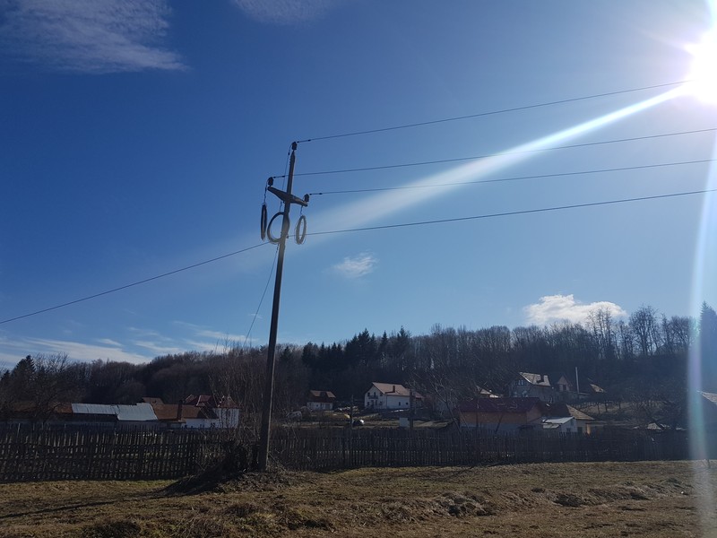 Arhiva foto