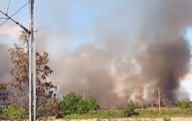 Incendiu masiv de vegetație la Buftea. Intervin nouă echipaje de pompieri. VIDEO