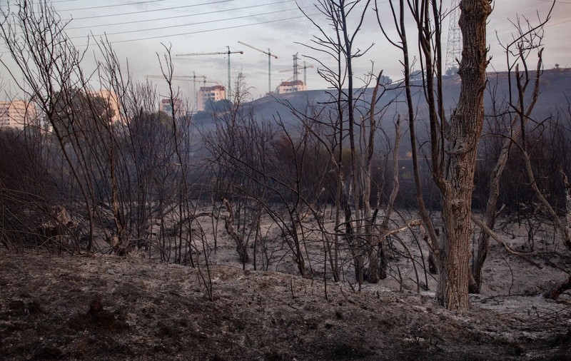 Un român a murit în incendiile de vegetație din Spania. Lucra la o fermă de cai care a ars din temelii