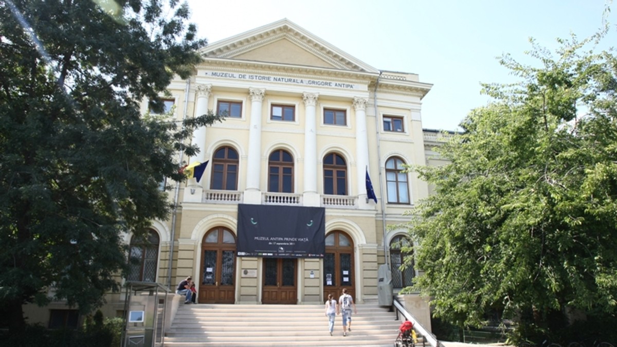 Arhiva foto