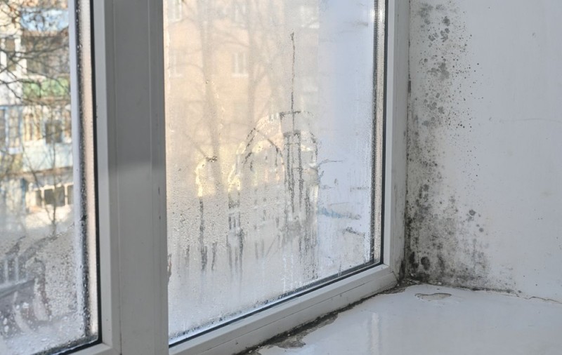 12 metode ca să elimini umezeala din casă